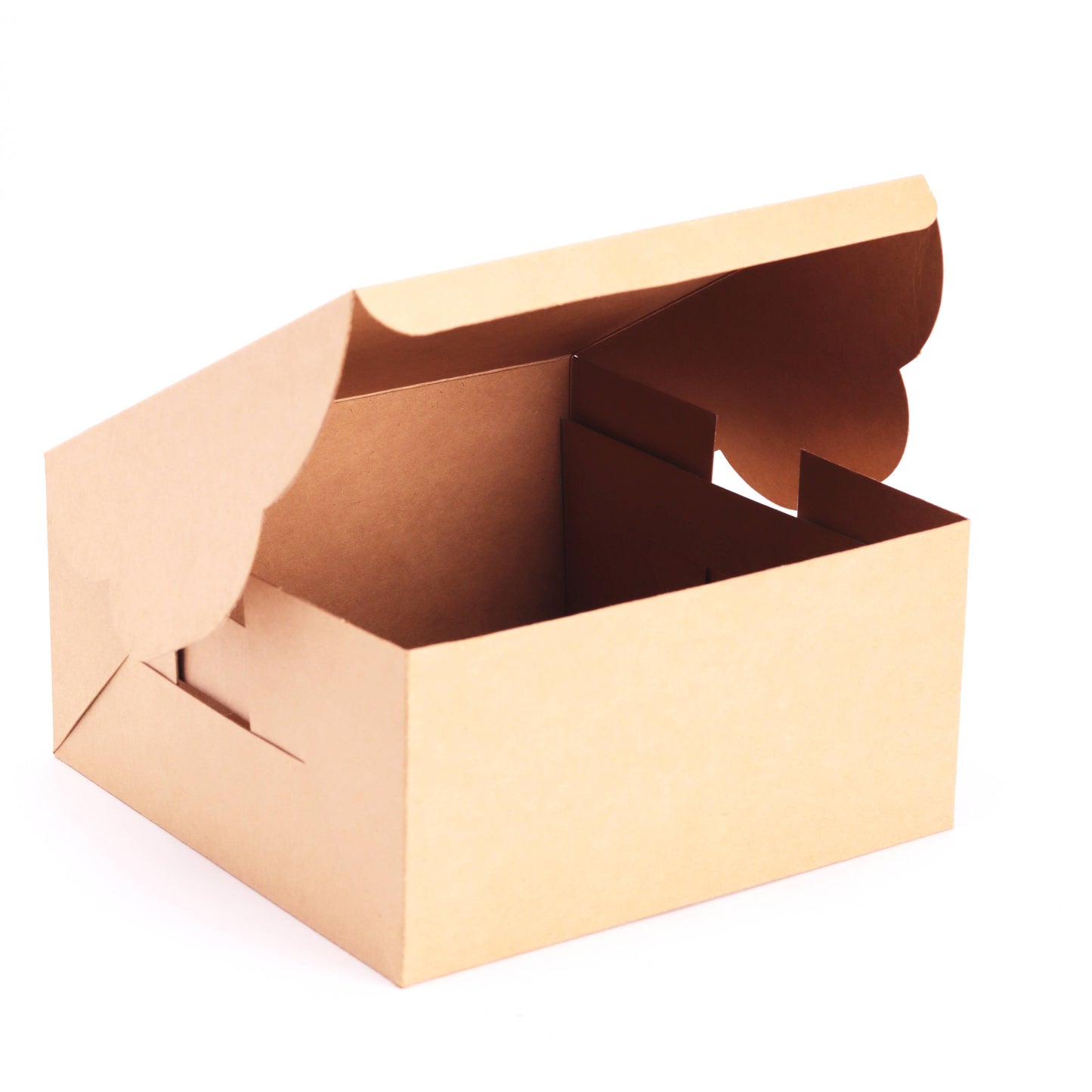 Premium Kraft Cake Box (Pack of 10)