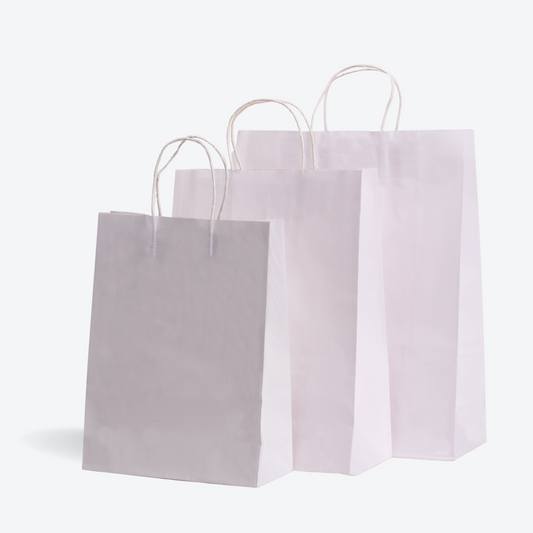 Recycled White Paper Bag (Pack of 20)
