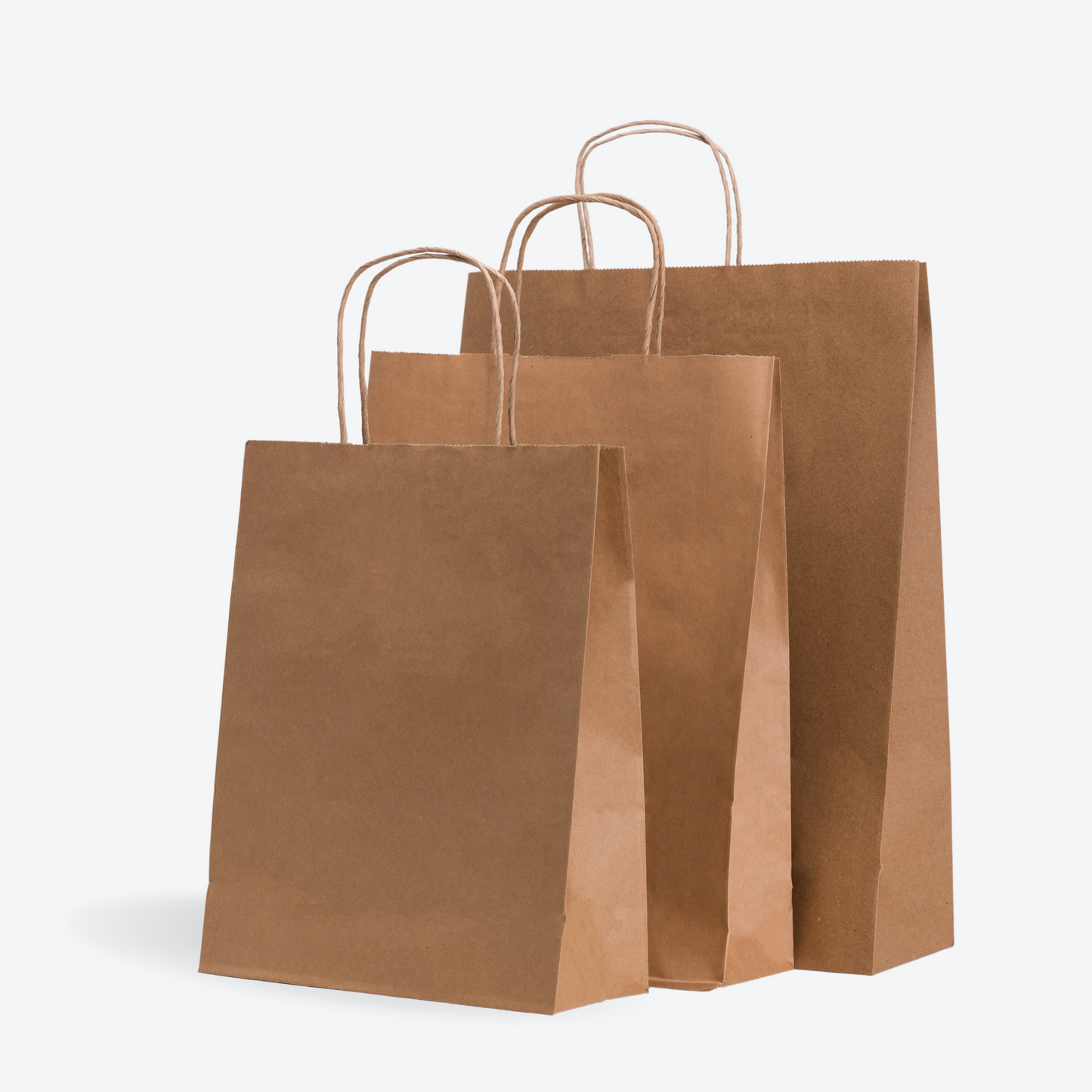 Recycle Brown Paper Bag