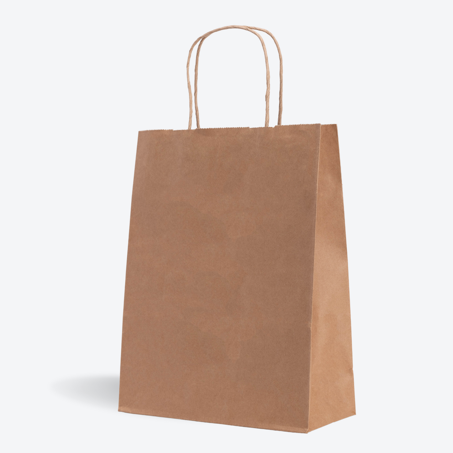 Recycle Brown Paper Bag