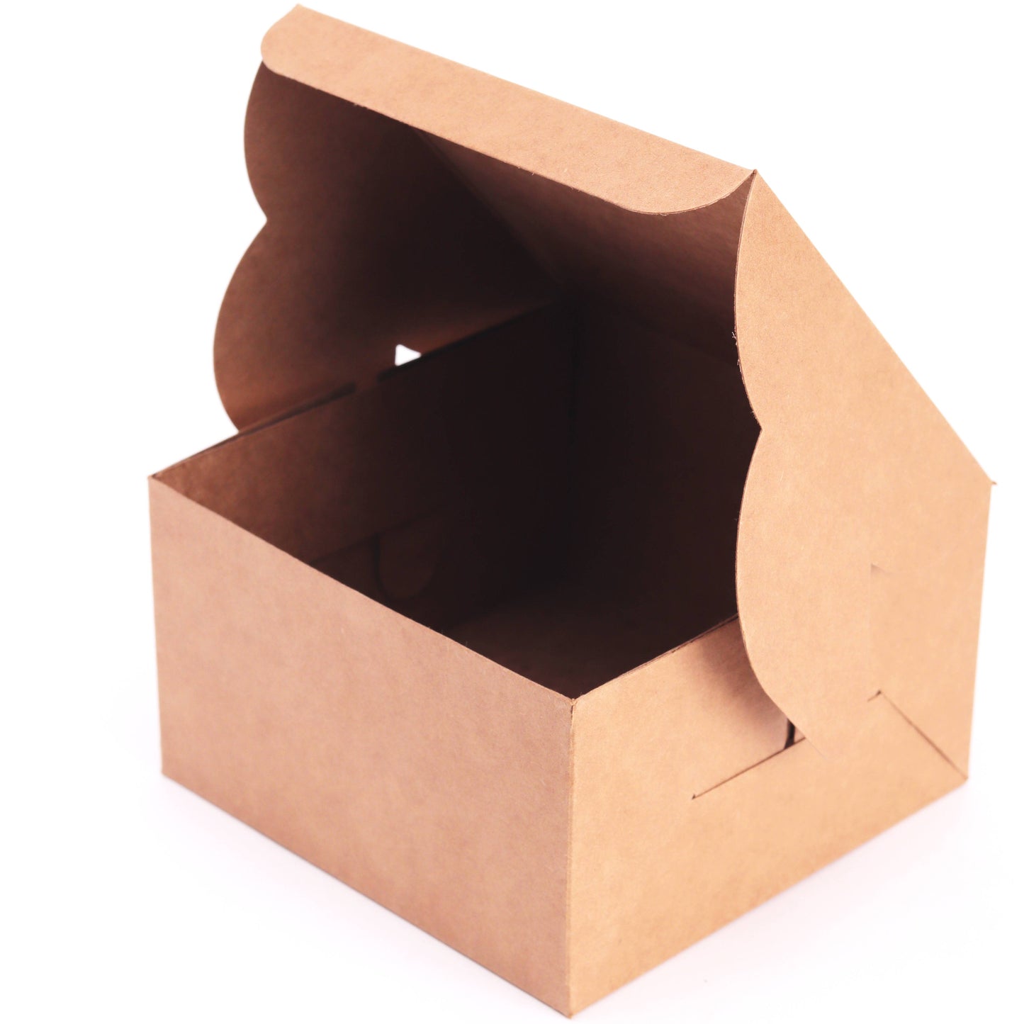 Premium Kraft Cake Box (Pack of 10)