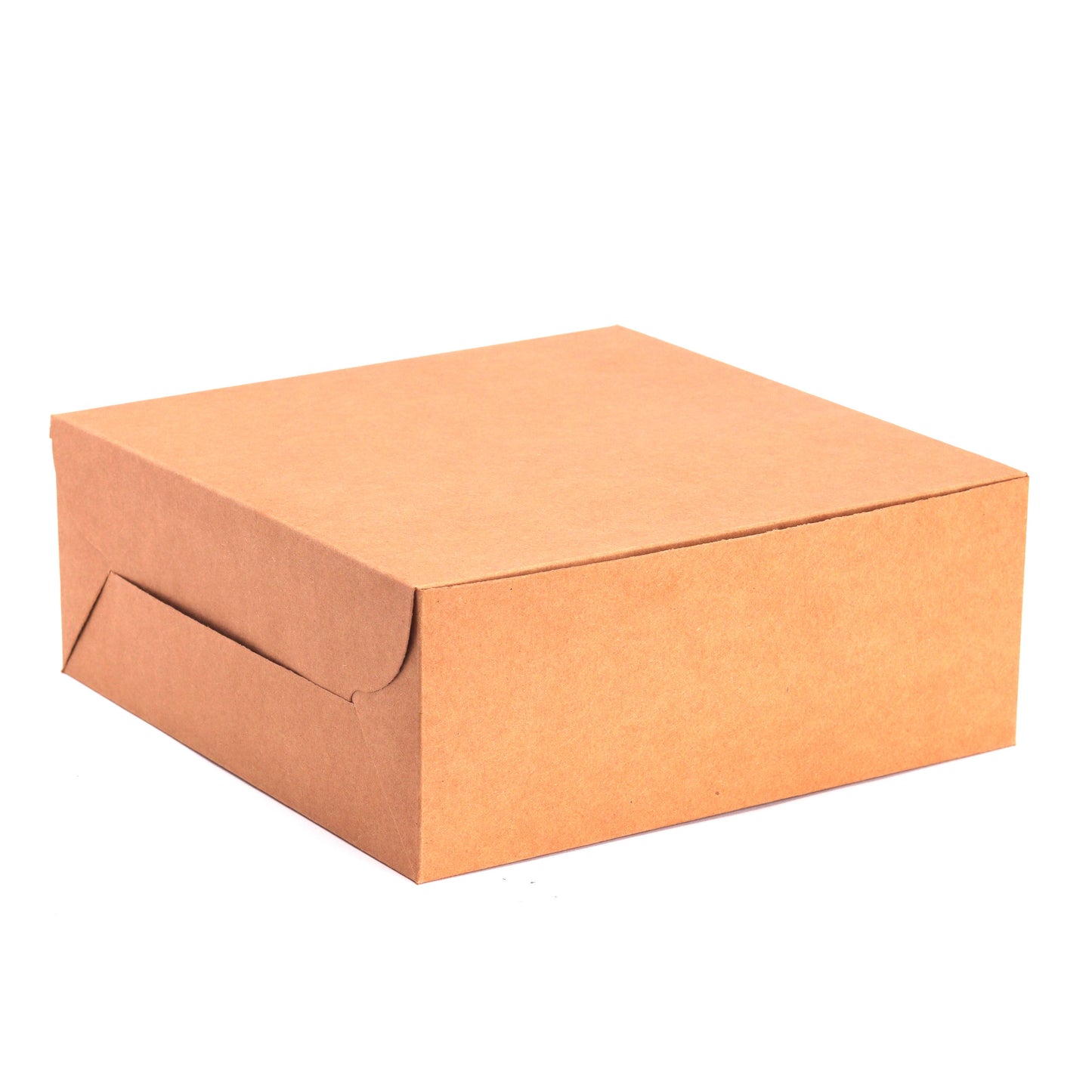 Premium Kraft Cake Box (Pack of 10)